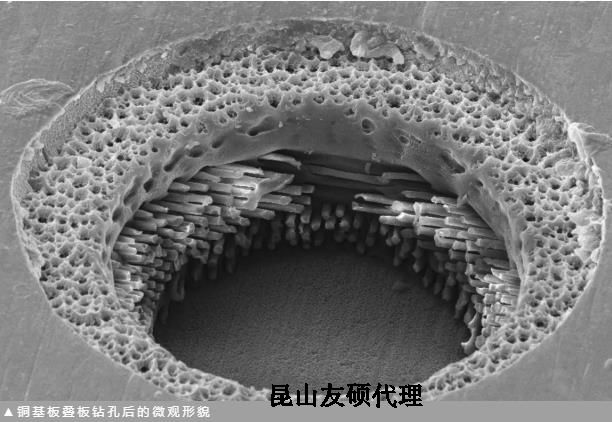 可克达拉蔡司可克达拉扫描电镜